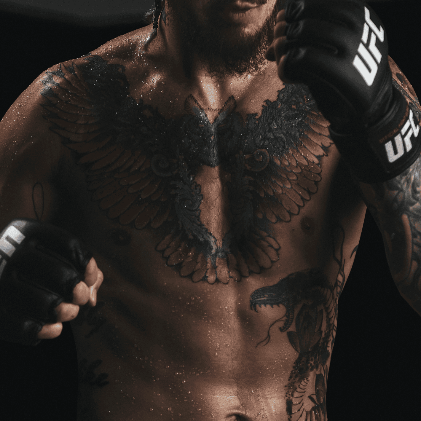 UFC HP Takeover Accordion Placement 3 Image